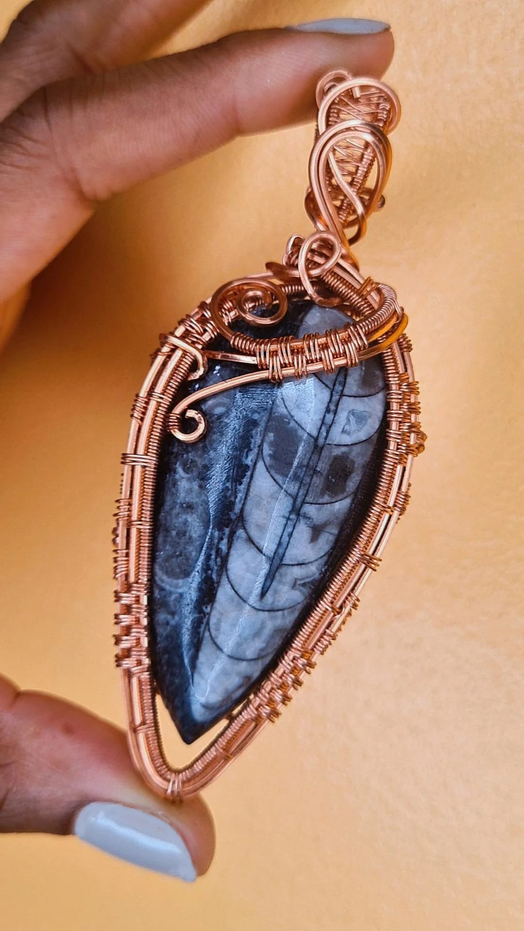 -THE ANCESTOR- EARTH ORTHOCERAS FOSSIL