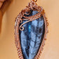 -THE ANCESTOR- EARTH ORTHOCERAS FOSSIL