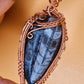 -THE ANCESTOR- EARTH ORTHOCERAS FOSSIL