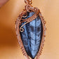 -THE ANCESTOR- EARTH ORTHOCERAS FOSSIL